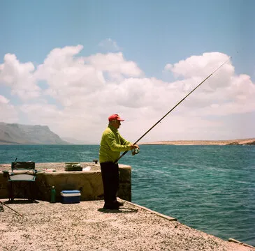 用户持手机观看